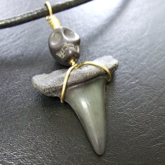 大型アオザメの歯化石 ワイヤーラップペンダント（3.4cm）【現品】 - 30144zhc