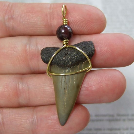 大型アオザメの歯化石 ワイヤーラップペンダント（4.0cm）【現品】 - 30145zhc