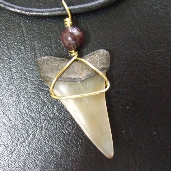 大型アオザメの歯化石 ワイヤーラップペンダント（4.0cm）【現品】 - 30145zhc