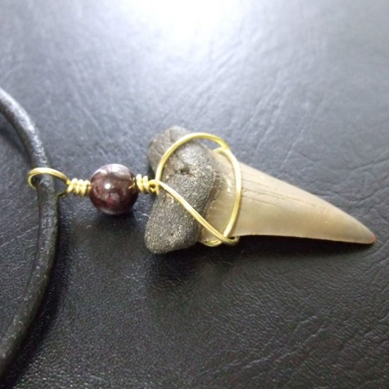 大型アオザメの歯化石 ワイヤーラップペンダント（4.0cm）【現品】 - 30145zhc