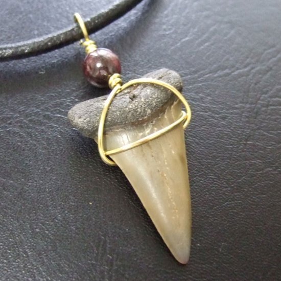 大型アオザメの歯化石 ワイヤーラップペンダント（4.0cm）【現品】 - 30145zhc