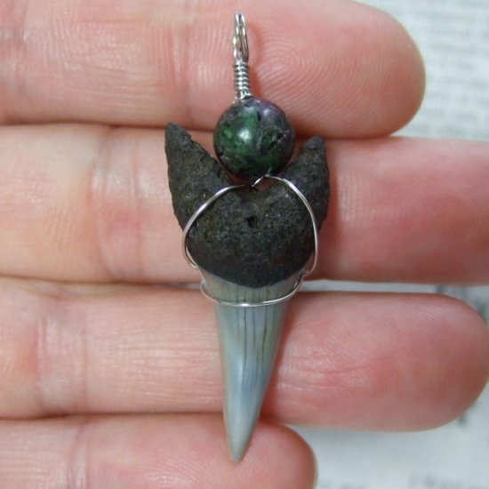 大型アオザメの歯化石 ワイヤーラップペンダント（3.6cm）【現品】 - 30147zhc