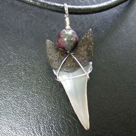 大型アオザメの歯化石 ワイヤーラップペンダント（3.6cm）【現品】 - 30147zhc