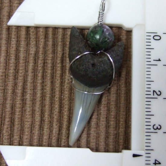 大型アオザメの歯化石 ワイヤーラップペンダント（3.6cm）【現品】 - 30147zhc