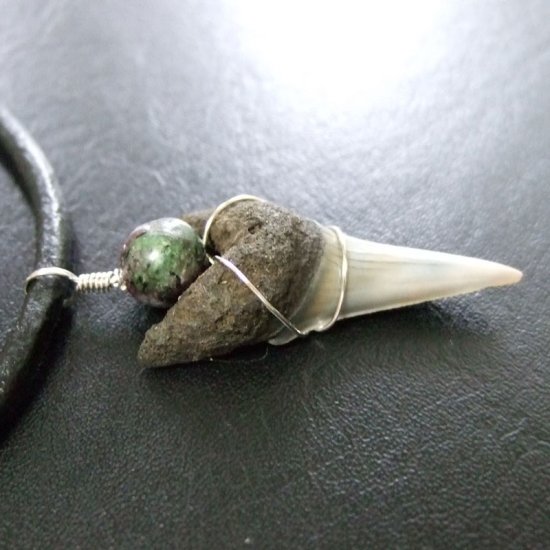 大型アオザメの歯化石 ワイヤーラップペンダント（3.6cm）【現品】 - 30147zhc