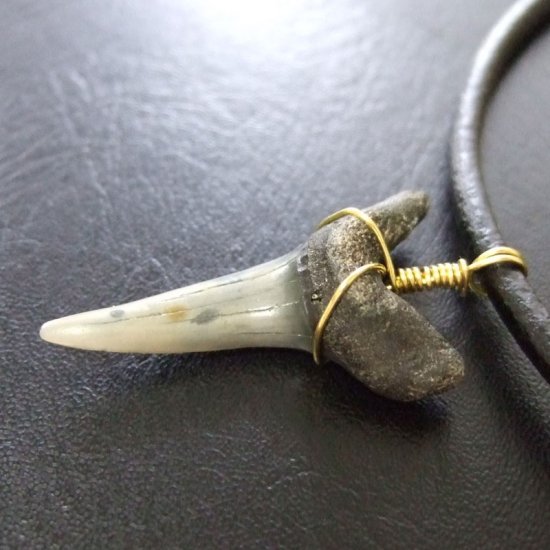 大型アオザメの歯化石 ワイヤーラップペンダント（3.5cm）【現品】 - 30148zhc