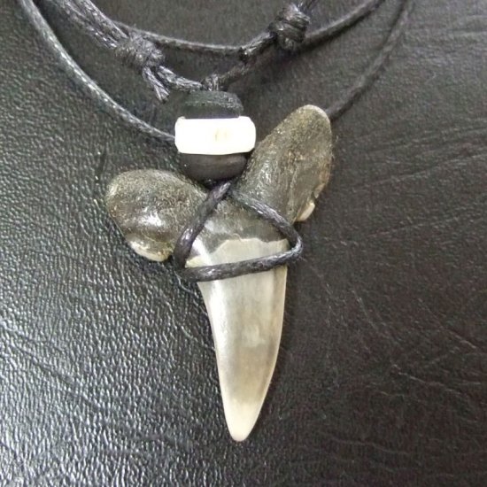 大型アオザメの歯化石 ペンダント（3.3cm）【現品】 - 30160zhc