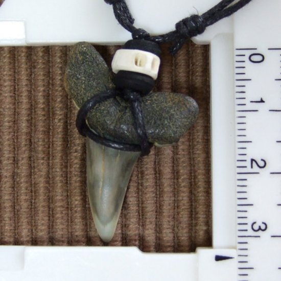 大型アオザメの歯化石 ペンダント（3.3cm）【現品】 - 30160zhc