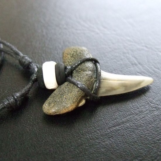 大型アオザメの歯化石 ペンダント（3.3cm）【現品】 - 30160zhc