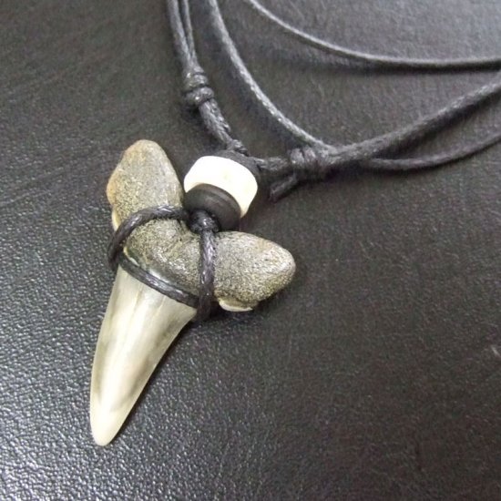 大型アオザメの歯化石 ペンダント（3.3cm）【現品】 - 30160zhc