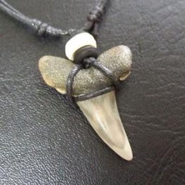 大型アオザメの歯化石 ペンダント(3.3cm)【現品】 - 30160zhc  大型アオザメの歯化石 ペンダント(3.3cm)【現品】 - 30160zhc