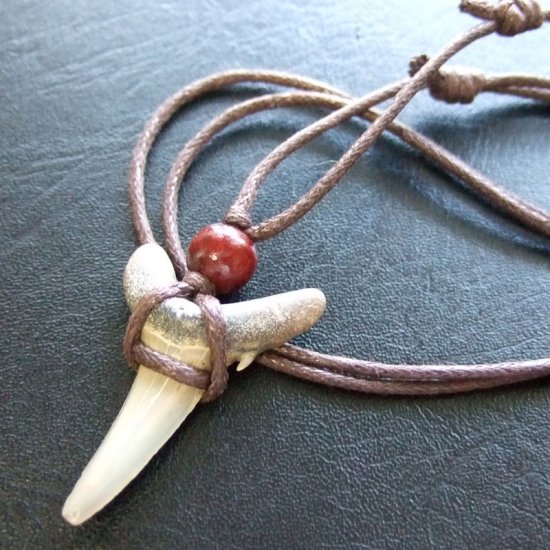 大型アオザメの歯化石 ペンダント（3.5cm）【現品】 - 30169zhb