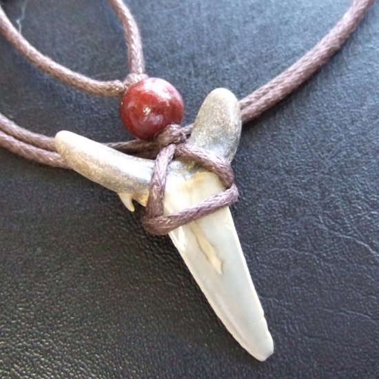 大型アオザメの歯化石 ペンダント（3.5cm）【現品】 - 30169zhb