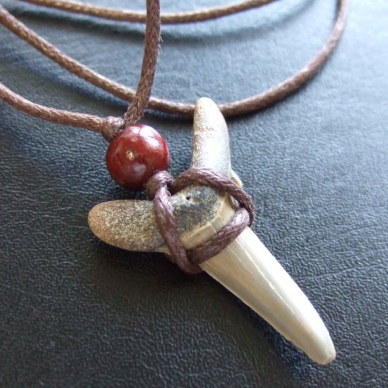 大型アオザメの歯化石 ペンダント（3.5cm）【現品】 - 30169zhb