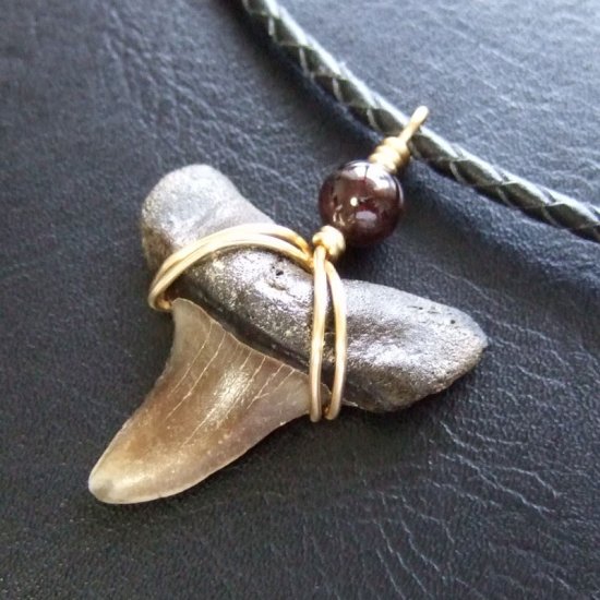 大型アオザメの歯化石 ワイヤーラップペンダント（3.8cm）【現品】 - 30172zhb