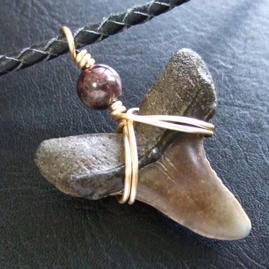 大型アオザメの歯化石 ワイヤーラップペンダント（3.8cm）【現品】 - 30172zhb