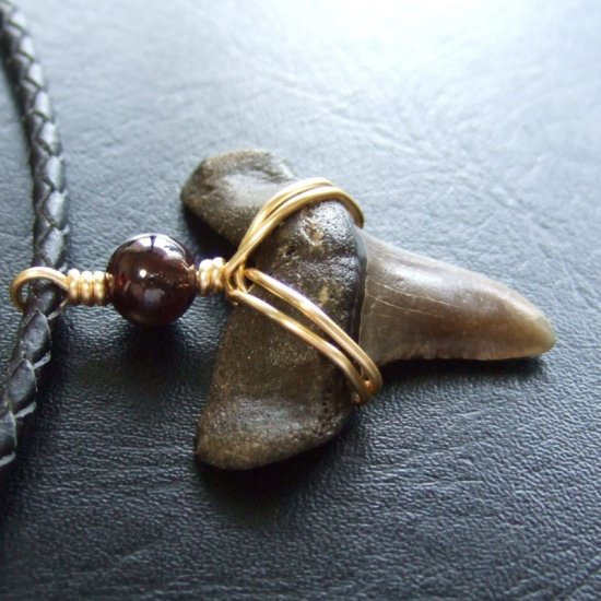 大型アオザメの歯化石 ワイヤーラップペンダント（3.8cm）【現品】 - 30172zhb