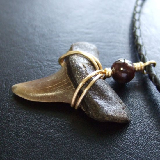 大型アオザメの歯化石 ワイヤーラップペンダント（3.8cm）【現品】 - 30172zhb