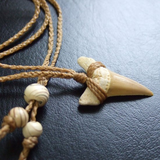 サメの歯化石 ペンダント（3.1cm）【現品】 - 30207zhc