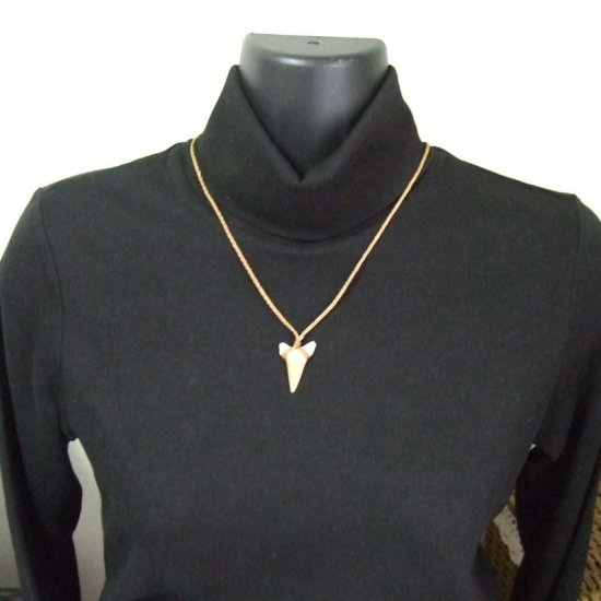 サメの歯化石 ペンダント（3.1cm）【現品】 - 30207zhc