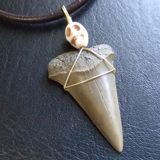 【表示現品】古代アオザメの歯化石 ワイヤーラップペンダント - 30211zhc