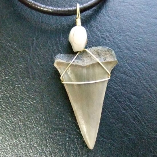 【表示現品】古代アオザメの歯化石 ワイヤーラップペンダント - 30211zhc