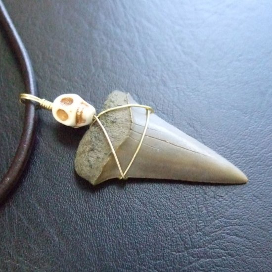 【表示現品】古代アオザメの歯化石 ワイヤーラップペンダント - 30211zhc