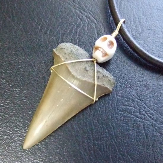 【表示現品】古代アオザメの歯化石 ワイヤーラップペンダント - 30211zhc