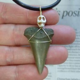 【表示現品】古代アオザメの歯化石 ワイヤーラップペンダント - 30211zhc  【表示現品】古代アオザメの歯化石 ワイヤーラップペンダント - 30211zhc