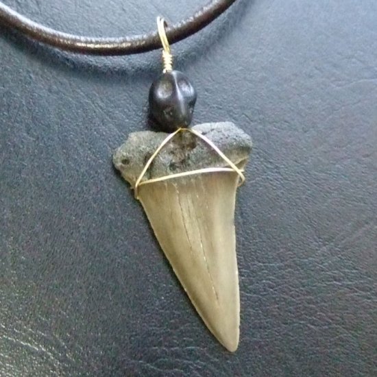 【表示現品】古代アオザメの歯化石 ワイヤーラップペンダント - 30212zhc