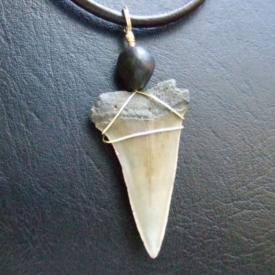 【表示現品】古代アオザメの歯化石 ワイヤーラップペンダント - 30212zhc