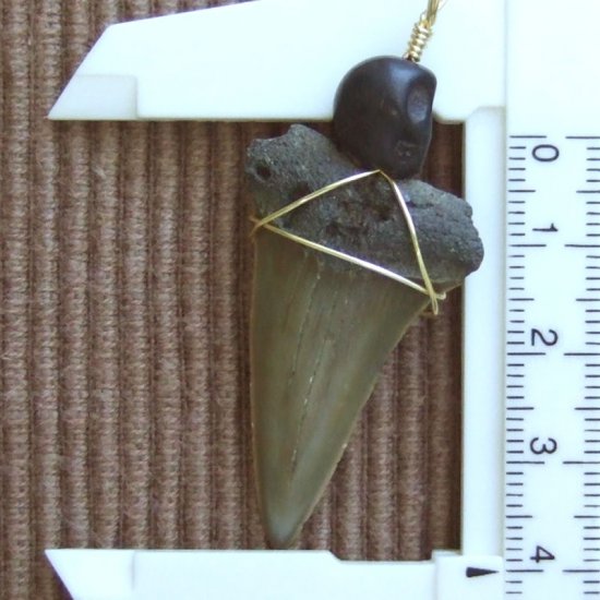 【表示現品】古代アオザメの歯化石 ワイヤーラップペンダント - 30212zhc