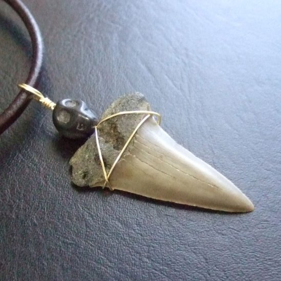 【表示現品】古代アオザメの歯化石 ワイヤーラップペンダント - 30212zhc
