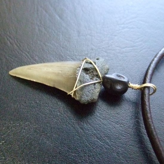 【表示現品】古代アオザメの歯化石 ワイヤーラップペンダント - 30212zhc