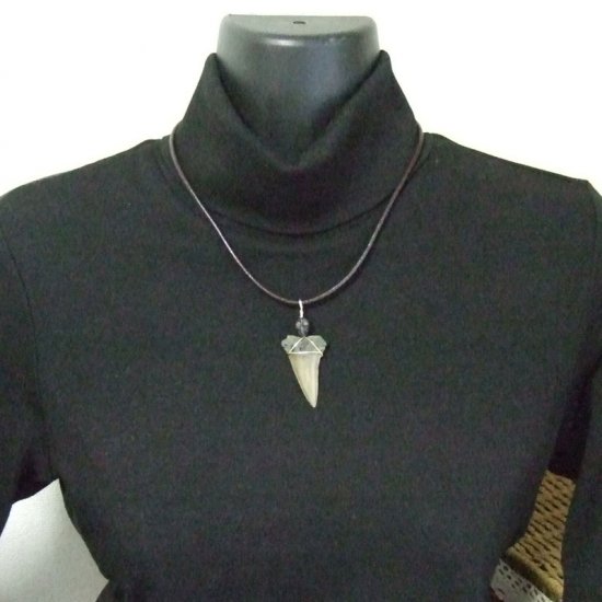 【表示現品】古代アオザメの歯化石 ワイヤーラップペンダント - 30212zhc