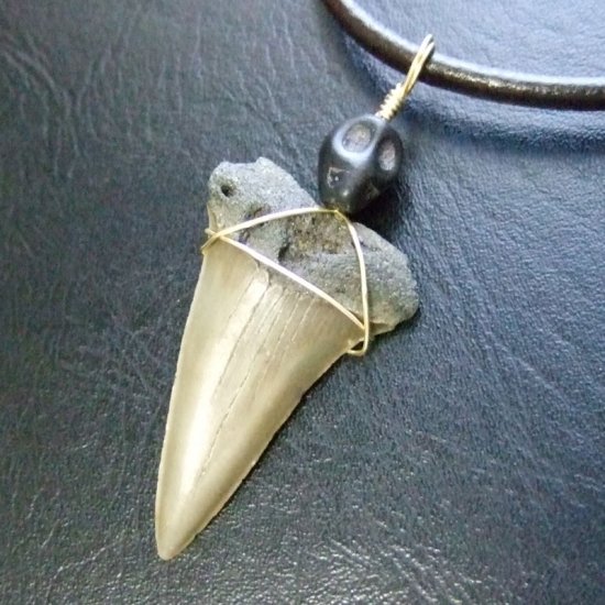 【表示現品】古代アオザメの歯化石 ワイヤーラップペンダント - 30212zhc