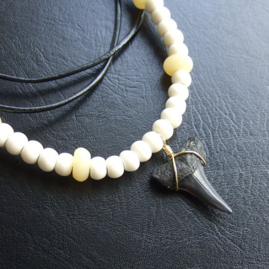 【表示現品】ホオジロザメの歯化石 ボーンビーズチョーカー - 30217zhb