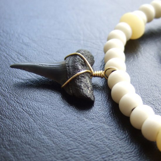 【表示現品】ホオジロザメの歯化石 ボーンビーズチョーカー - 30217zhb
