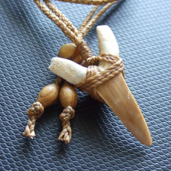 サメの歯化石 ペンダント（3.9cm）【現品】 - 30219zhb