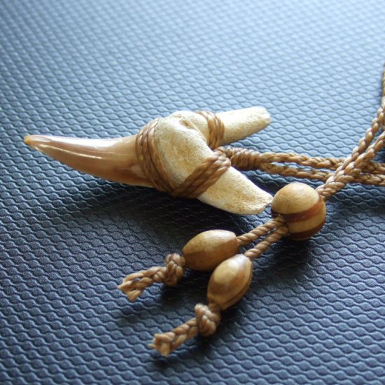 サメの歯化石 ペンダント（3.9cm）【現品】 - 30219zhb