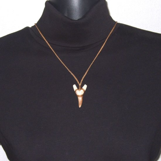 サメの歯化石 ペンダント（3.9cm）【現品】 - 30219zhb