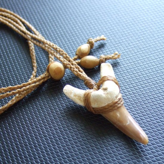 サメの歯化石 ペンダント（3.9cm）【現品】 - 30219zhb