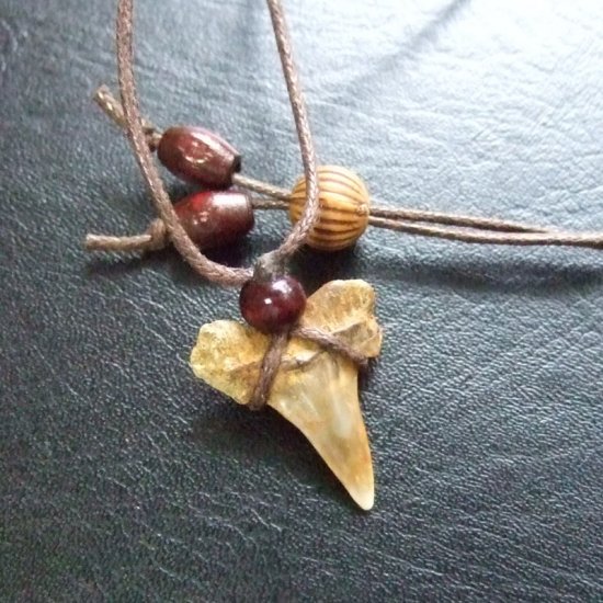 【表示現品】古代アオザメの歯化石 ペンダント（2.1cm） - 30222zhb