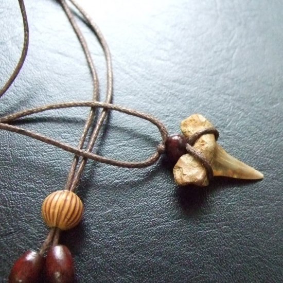 【表示現品】古代アオザメの歯化石 ペンダント（2.1cm） - 30222zhb