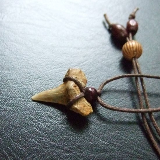 【表示現品】古代アオザメの歯化石 ペンダント（2.1cm） - 30222zhb