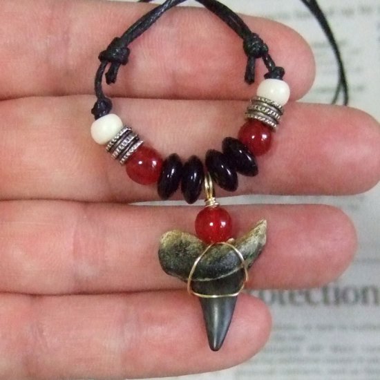 【表示現品】古代アオザメの歯化石 ペンダント（2.4cm） - 30224zhb