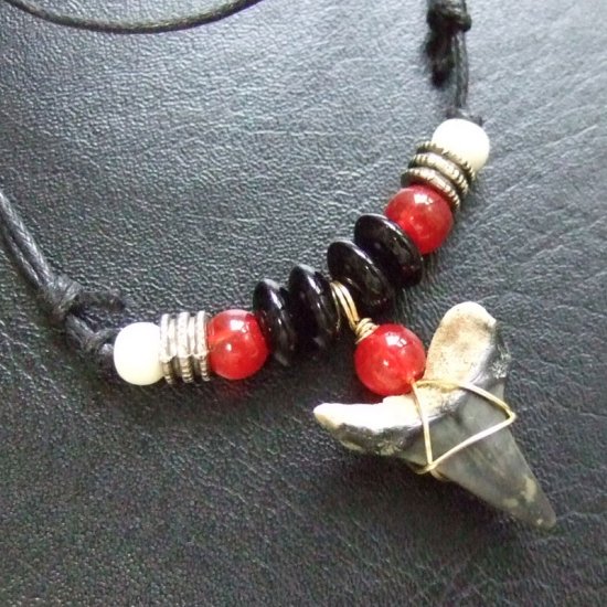 【表示現品】古代アオザメの歯化石 ペンダント（2.4cm） - 30224zhb