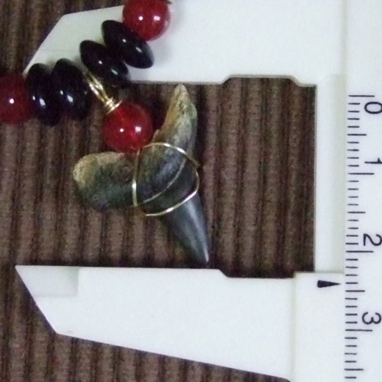 【表示現品】古代アオザメの歯化石 ペンダント（2.4cm） - 30224zhb