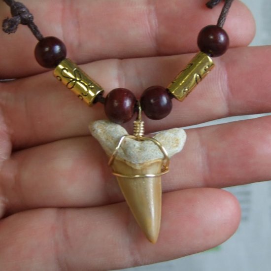 【表示現品】サメの歯化石 ペンダント（3.2cm） - 30233zhb