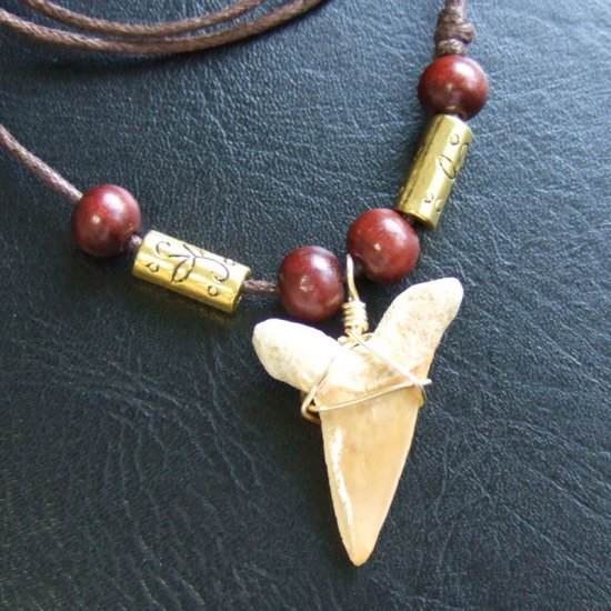 【表示現品】サメの歯化石 ペンダント（3.2cm） - 30233zhb